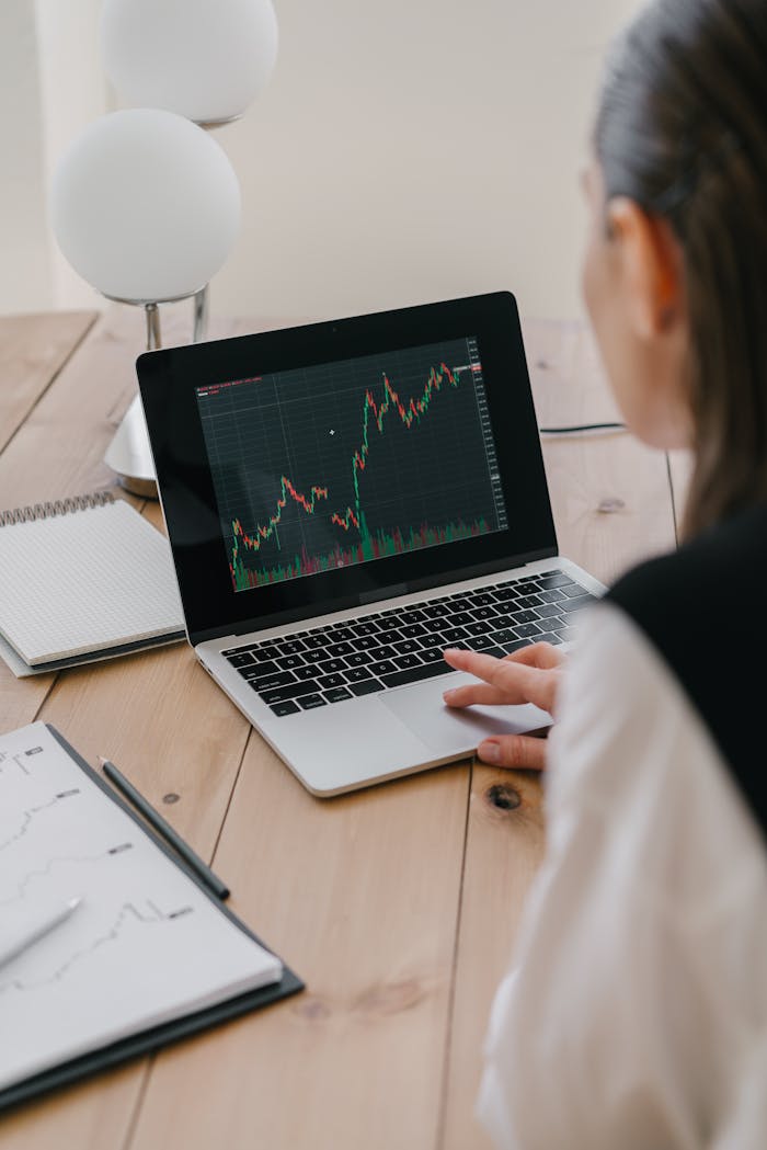 A Woman Looking at a Graph on Her Laptop